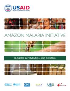 Amazon Malaria Initiative  Progress in Prevention and Control WHAT IS AMI?