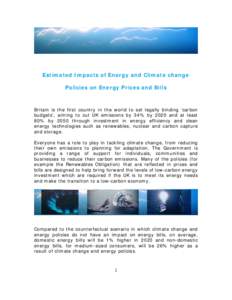 Estimated Impacts of Energy and Climate change Policies on Energy Prices and Bills Britain is the first country in the world to set legally binding ‘carbon budgets’, aiming to cut UK emissions by 34% by 2020 and at l