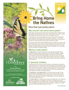 Sunny/Moist  Why should I care about native plants? Native plants create beautiful landscapes that provide native wildlife with the best habitat and food they need to survive. Native plants also help to protect
