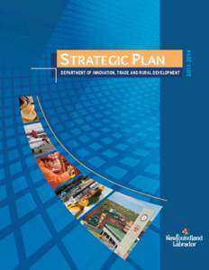 DEPARTMENT OF INNOVATION, TRADE AND RURAL DEVELOPMENT[removed]STRATEGIC PLAN