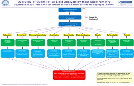 Overview of Quantitative Lipid Analysis by Mass Spectrometry  www.lipidmaps.org as performed by LIPID MAPS consortium on bone marrow derived macrophages (BMDM)