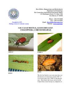 Protostome / Beetle / Zoology / Colorado potato beetle / Epilachna varivestis / Chrysomelidae / Scarlet lily beetle / Phyla