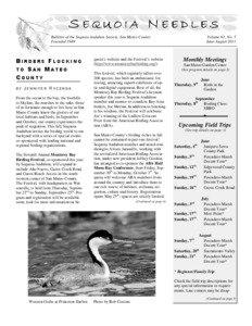 National Audubon Society / Pescadero State Beach / Birding / Pescadero Creek / American Birding Association / San Mateo County /  California / Geography of California / Santa Cruz Mountains / Birdwatching