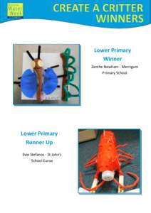 Lower Primary Winner Zanthe Newham - Merrigum Primary School  Lower Primary