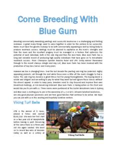 Come Breeding With Blue Gum