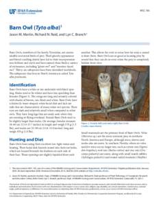 WEC 185  Barn Owl (Tyto alba)1 Jason M. Martin, Richard N. Raid, and Lyn C. Branch2  Barn Owls, members of the family Tytonidae, are unmistakable nocturnal birds of prey. Their ghostly appearance