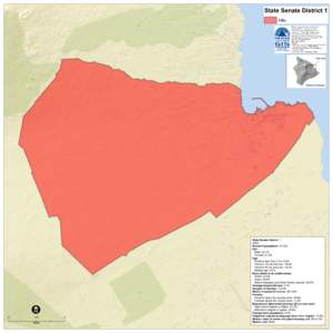 State Senate District 1 Hilo This map was produced by the Office of Planning (OP) for planning purposes. It should not be used for boundary interpretations or other spatial analysis beyond the limitations of the data. In