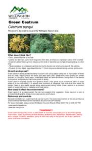 Environment / Land management / Cestrum nocturnum / Cestrum diurnum / Cestrum parqui / Cestrum / Agriculture