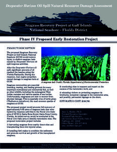 BP / Seagrass / Geography of the United States / Gulf Islands National Seashore / Deepwater Horizon / Geography of Florida / Deepwater Horizon oil spill / Florida