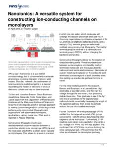 Nanoionics: A versatile system for constructing ion-conducting channels on monolayers