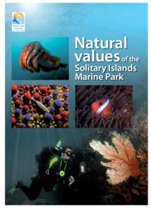 Natural values of the Solitary Islands Marine Park