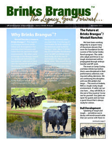 Brinks Brangus  ™ Official Newsletter of Westall Ranches – home of Brinks Brangus™