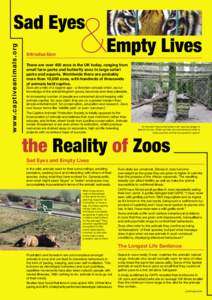 Animal welfare / Zoo / Petting zoo / Captive breeding / Smithsonian National Zoological Park / Captivity / World Association of Zoos and Aquariums / Zookeeper / Biology / Zoos / Zoology