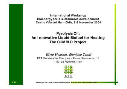 International Workshop Bioenergy for a sustainable development