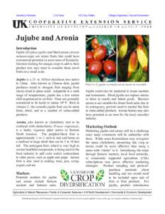 Medicinal plants / Maleae / Flora of Pakistan / Berries / Aronia / Flora of North America / Ziziphus mauritiana / Prunus virginiana / Jujube / Flora / Botany / Food and drink