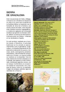 Miguel Ángel Maneiro Márquez. Isabel Torres Luna. M. Paz del Castillo Gutiérrez. sierra DE GRAZALEMA Entre las provincias de Cádiz y Málaga,