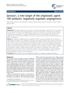 Sprouty1, a new target of the angiostatic agent 16K prolactin, negatively regulates angiogenesis