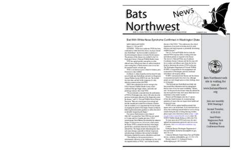 Bats of the United States / Bats of Canada / Vesper bats / Mouse-eared bats / Syndromes / White nose syndrome / Little brown bat / Eastern pipistrelle / Bat / Pseudogymnoascus destructans / Virginia big-eared bat / Indiana bat