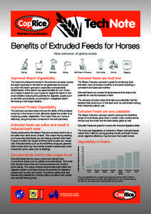 Benefits of Extruded Feeds for Horses How extrusion of grains works Testing  Grinding