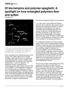 Of bio-hairpins and polymer-spaghetti: A spotlight on how entangled polymers flow and soften
