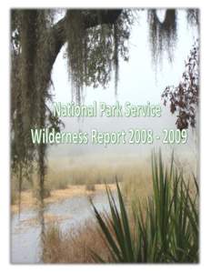 NPS Wilderness Report[removed]  NPS Wilderness Report[removed]