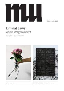 photo sheet  Liminal Laws Addie Wagenknecht 22 April – 19 June 2016