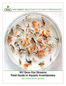 WV Save Our Streams Field Guide to Aquatic Invertebrates http://www.dep.wv.gov/sos This guide is designed to assist more experienced volunteer monitors with field identification of macroinvertebrates found in our rivers