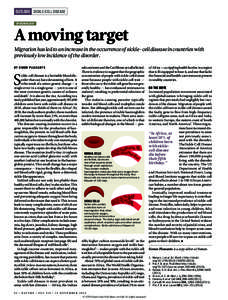 OUTLOOK SICKLE-CELL DISEASE E P IDE M IO LO GY A moving target Migration has led to an increase in the occurrence of sickle-cell disease in countries with previously low incidence of the disorder.