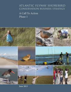 atlantic flyway shorebird conservation business strategy A Call To Action Phase 1