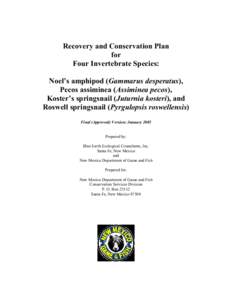 Microsoft Word - Chaves County Recovery Plan .doc