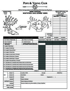 POPE & YOUNG CLUB Official Scoring System for Bowhunting North American Big Game KIND OF DEER (check one) NON-TYPICAL WHITETAIL AND COUES’ DEER