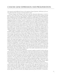 CANCER: GENE EXPRESSION AND PROLIFERATION Gene expression and proliferation focuses on the regulation of gene expression, cell-division cycle control, and chromosome structure in normal and cancer cells. Thomas Gingeras 