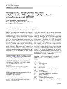 Light reactions / Biochemistry / Photoinhibition / Synechocystis / Photosystem II / Light-dependent reactions / Photosystem / Photosynthetic reaction centre / Cyanobacteria / Photosynthesis / Biology / Chemistry