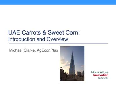 UAE Carrots & Sweet Corn: Introduction and Overview Michael Clarke, AgEconPlus 2