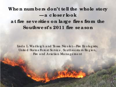 When numbers don’t tell the whole story —a closer look at fire severities on large fires from the Southwest’s 2011 fire season  Linda L. Wadleigh and Tessa Nicolet—Fire Ecologists,