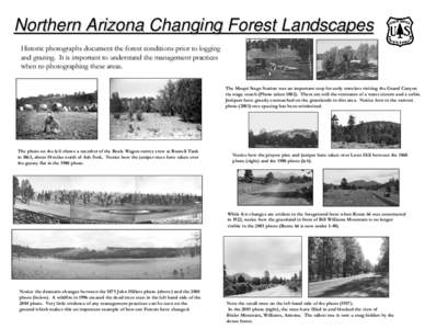 Northern Arizona Changing Forest Landscapes Historic photographs document the forest conditions prior to logging and grazing. It is important to understand the management practices when re-photographing these areas. The 