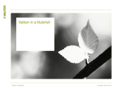 Valiton in a Nutshell  Valiton in a Nutshell Copyright Valiton GmbH