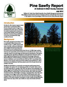 Pine Sawfly Report An Outbreak in Elbert County, Colorado July 2014 William M. Ciesla, Forest Health Specialist, Forest Health Management International Meg Halford, Assistant District Forester, Franktown District, Colora