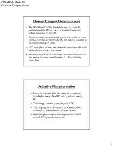 Microsoft PowerPoint - Oxidative Phosphorylation.ppt