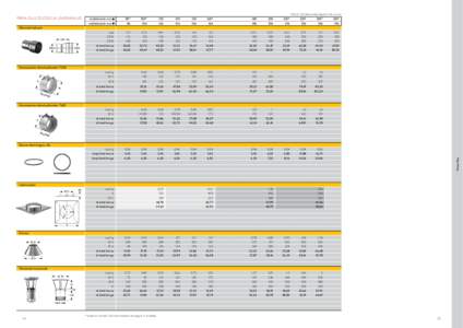 Microsoft PowerPoint - TecnoFlex_Valts.ppt