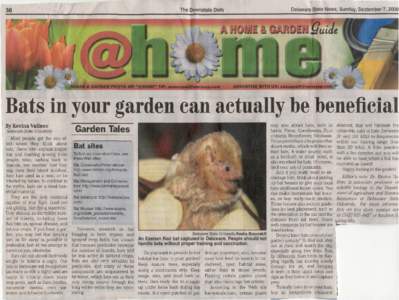 The Downstate Daily  36 SHARE A GARDEN PHOTO OR 