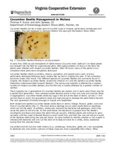 Cucumber Beetle Management in Melons Thomas P. Kuhar and John Speese, III Department of Entomology,Eastern Shore AREC, Painter, VA Cucumber beetles can be a major pest of cucurbit crops in Virginia, particularly cantalou