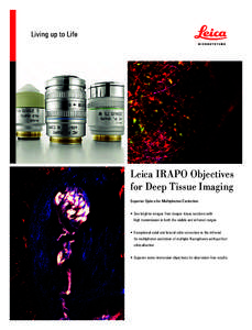 Leica IRAPO Objectives for Deep Tissue Imaging Superior Optics for Multiphoton Excitation • See brighter images from deeper tissue sections with high transmission in both the visible and infrared ranges • Exceptional