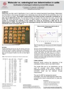 Molecular vs. osteological sex determination in cattle Confirmation of osteological methods by ancient DNA analysis E. Svensson1, M. Vretemark2, A. Götherström1 1Evolutionary  Biology, Uppsala University, [removed]Uppsal