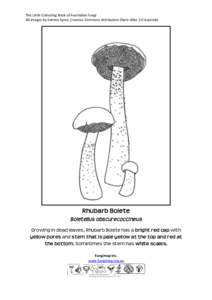 The Little Colouring Book of Australian Fungi All images by Katrina Syme, Creative Commons Attribution-Share Alike 3.0 Australia Rhubarb Bolete Boletellus obscurecoccineus Growing in dead leaves, Rhubarb Bolete has a bri