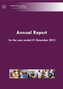Annual Report for the year ended 31 December 2013 CONTENTS  1