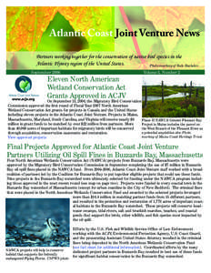 Atlantic Coast Joint Venture News Partners working together for the conservation of native bird species in the Atlantic Flyway region of the United States. Photo courtesy of Nate Bacheler September 2006