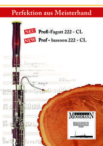 Perfektion aus Meisterhand NEU Profi-Fagott[removed]CL NEW Prof - bassoon[removed]CL