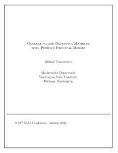 Generating and Detecting Matrices with Positive Principal Minors