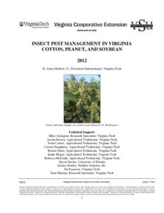 INSECT PEST MANAGEMENT IN VIRGINIA COTTON, PEANUT, AND SOYBEAN 2012 D. Ames Herbert, Jr., Extension Entomologist, Virginia Tech  Green stink bug nymphs on soybean pods (photo by D. Holshouser)